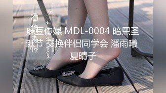 麻豆传媒 MDL-0004 暗黑圣诞节 交换伴侣同学会 潘雨曦 夏晴子